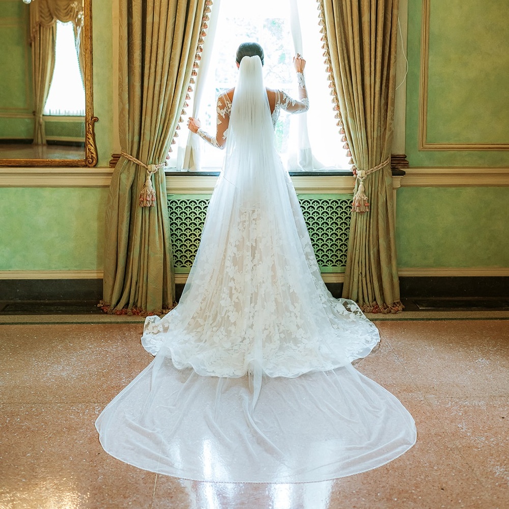 Elegant White with Pearl and Beaded Trimmed Cathedral Length Veil with Blusher